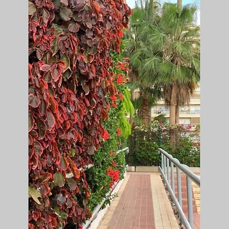 Jardines Del Sur, Ocean View Apartment Buzanada Ngoại thất bức ảnh