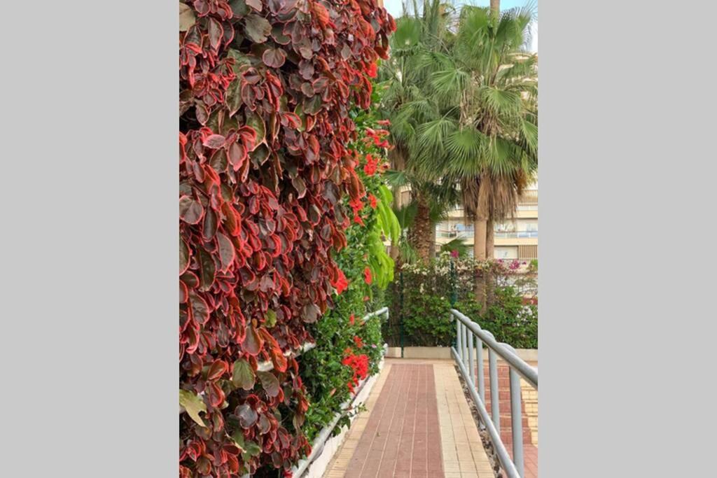 Jardines Del Sur, Ocean View Apartment Buzanada Ngoại thất bức ảnh